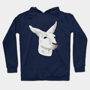 Albino Kangaroo Hoodie